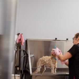 Baño Higiénico y Tratamiento de Piel