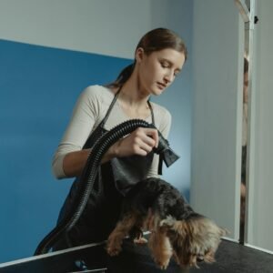 Mantenimiento Express (Limpieza entre cortes)